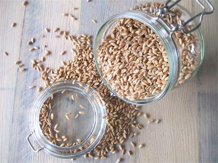 Duitse spelt biologisch